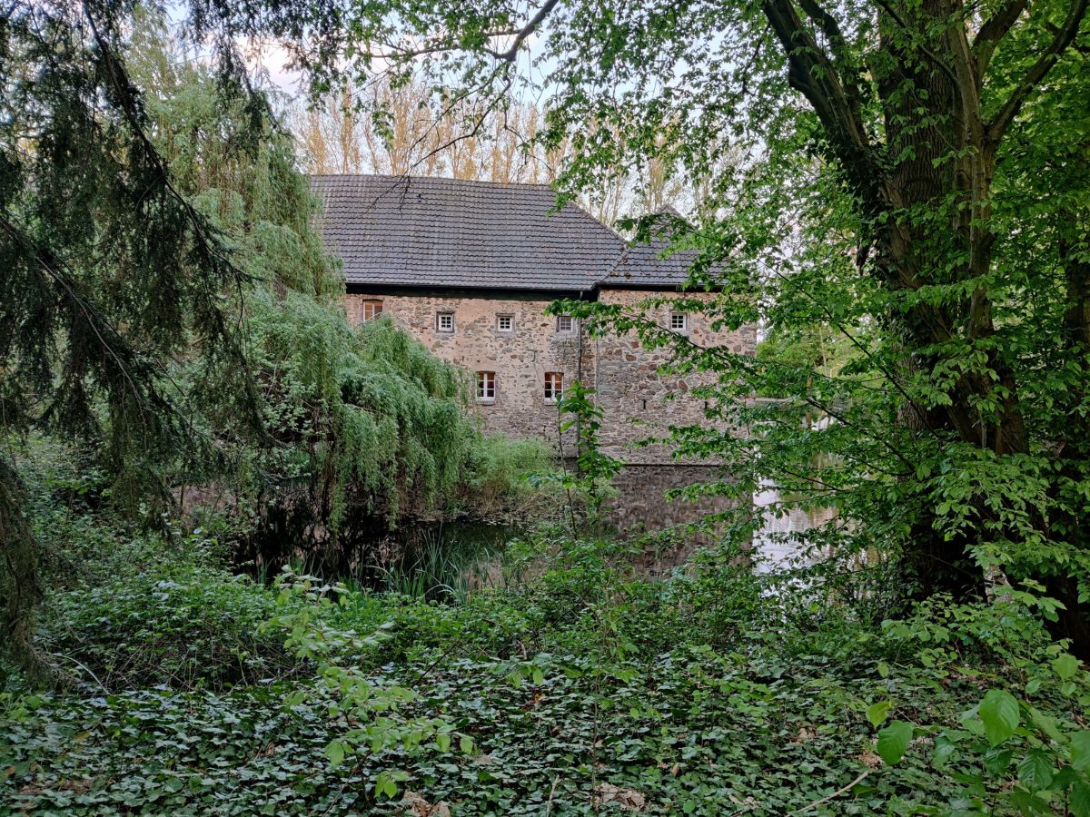 Die Wasserburg Haus Graven, umgeben von altem Baumbestand
